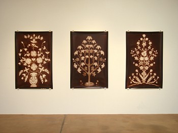 Alain Gerard Clement: A Decade of Photogenic Drawings&nbsp;