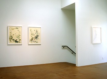 Drawing Conclusions&nbsp;