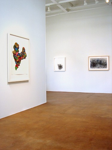 Drawing Conclusions - Installation View