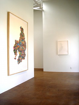 Drawing Conclusions&nbsp;