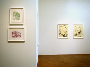 Drawing Conclusions&nbsp;