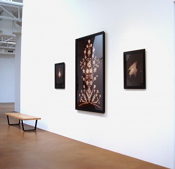 Drawing Conclusions&nbsp;