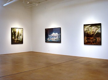 Dornith Doherty: Altered Terrain&nbsp;