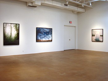 Dornith Doherty: Altered Terrain&nbsp;