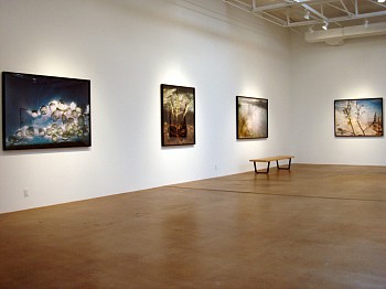 Dornith Doherty: Altered Terrain&nbsp;