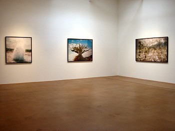 Dornith Doherty: Altered Terrain&nbsp;