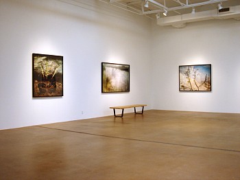 Dornith Doherty: Altered Terrain&nbsp;