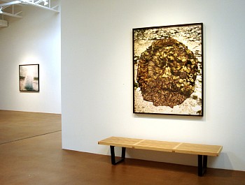 Dornith Doherty: Altered Terrain&nbsp;