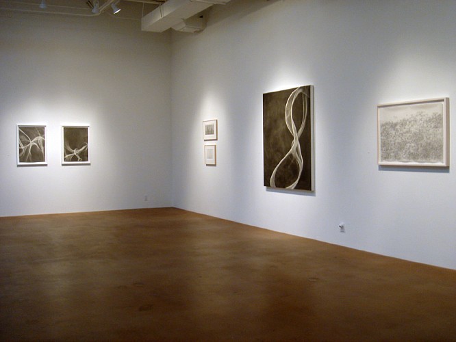 Delineation, February 2008 - Installation View