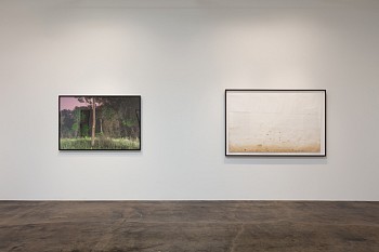 DELUGE: New Work by Dornith Doherty 