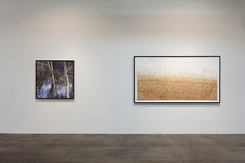 DELUGE: New Work by Dornith Doherty 