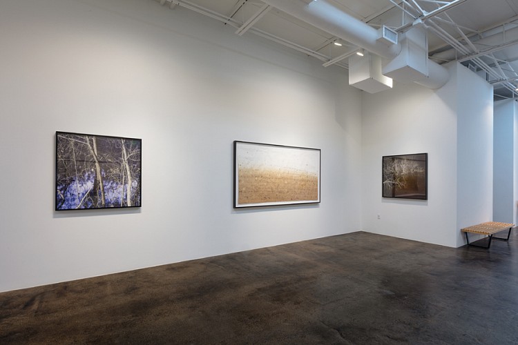 DELUGE: New Work by Dornith Doherty - Installation View