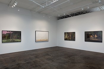 DELUGE: New Work by Dornith Doherty 