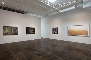 DELUGE: New Work by Dornith Doherty 