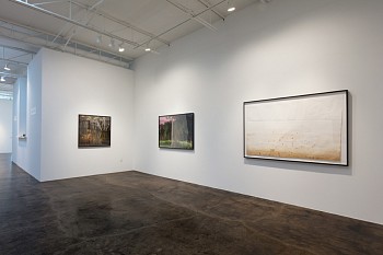 DELUGE: New Work by Dornith Doherty 