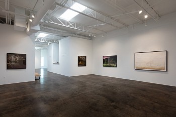 DELUGE: New Work by Dornith Doherty 