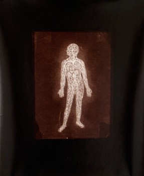 Work:&nbsp;Medical Series