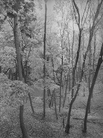 William Betts, Chorley Park, Toronto, 2012
Acrylic paint on reverse drilled mirror acrylic; Ed. 2/3, 48 x 36 in.
WBE-136