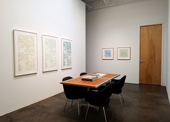 Joan Winter: COLOR+LIGHT 