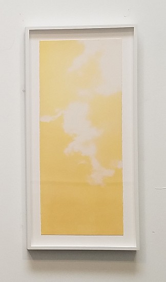 Joan Winter, Fleeting (Naples yellow), 2020
Archival digital print on oil painted BFK paper, 22 1/2 x 9 1/2 in.
JWI-234