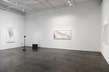 Dornith Doherty: Atlas of the Invisible&nbsp;