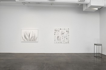 Dornith Doherty: Atlas of the Invisible&nbsp;