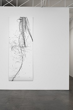 Dornith Doherty: Atlas of the Invisible&nbsp;