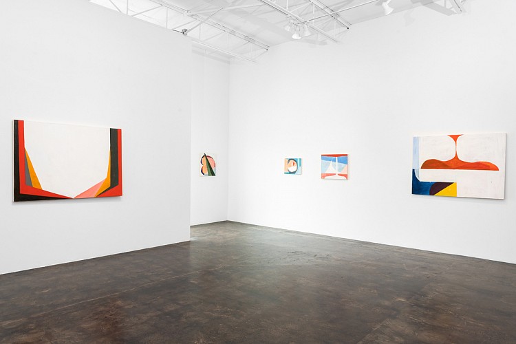 David Aylsworth: A Dish You Wish You Had Took - Installation View