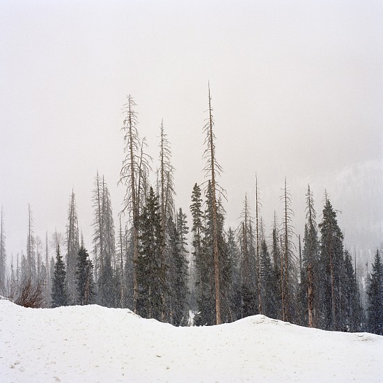 Misty Keasler, Snow Landscape, 2020-2021
Archival Inkjet Print, Edition 1/3, 30 x 30 in.
MKE-006