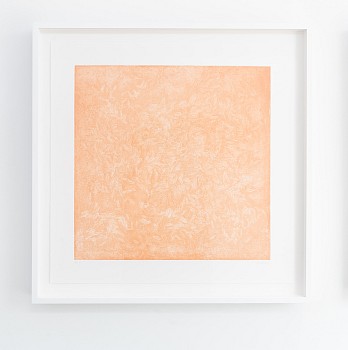 Work:&nbsp;Forest Floor - Autumn