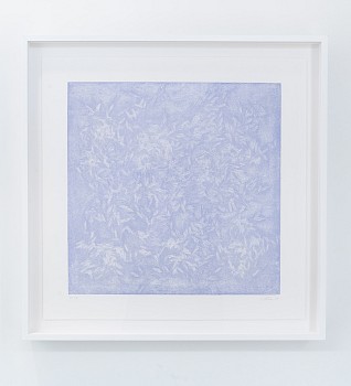 Work:&nbsp;Forest Floor - Reflection