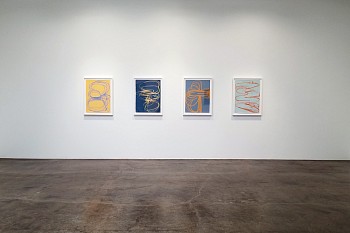 Jill Moser: Borrowed Light&nbsp;