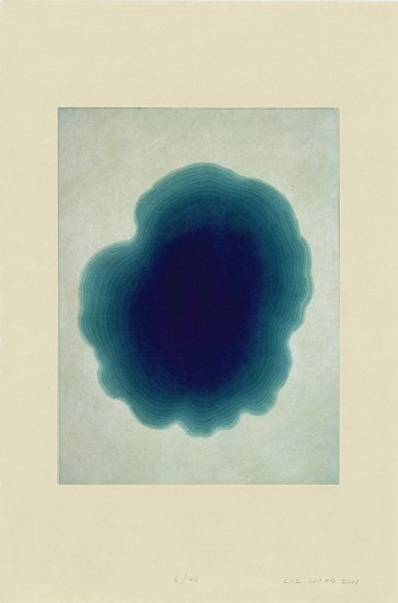 Liz Ward, Increments Suite - Poza, 2000
Intaglio on Japanese Paper, Ed. of 40 (AP II/V), 35 x 25 in.
LWA-010