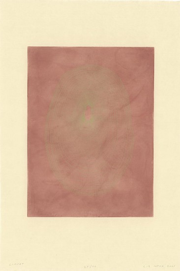 Liz Ward, Increments Suite - Limpet, 2000
Intaglio on Japanese Paper, Ed. of 40 (AP II/V), 35 x 25 in.
LWA-011