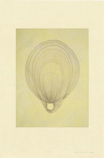 Liz Ward, Increments Suite - Fossil, 2000
Intaglio on Japanese Paper, Ed. of 40 (AP II/V), 35 x 25 in.
LWA-012