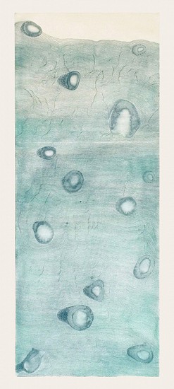 Liz Ward, Ice Core (from Ice Cores), 2012
Intaglio on Japanese Shiramine paper, Ed. Of 30, 40 x 18 in.
LWA-006