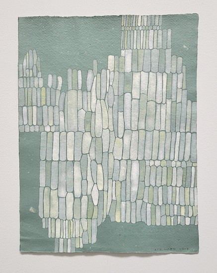 Liz Ward, Ghost Plant , 2017
watercolor and gouache on hand-made linen paper from Vallis Clausa Mill, France , 13 x 9 3/4 in.
LWA-003