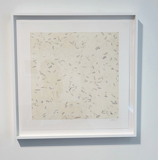 Joan Winter, Forest Floor - Lost Cycle Leaves White , 2021
soft ground etching on BFK with chine colle, 24 x 24 in.
JWI-255