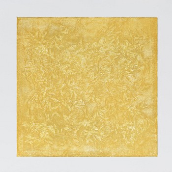 Joan Winter - Forest Floor - Late Summer