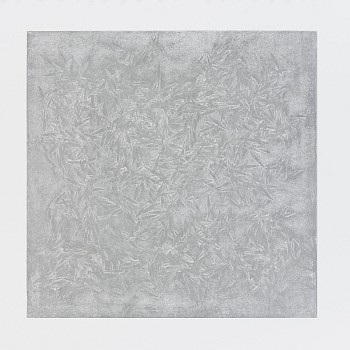 Joan Winter - Forest Floor - Reflection 2