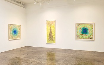 Liz Ward: The Grove&nbsp;