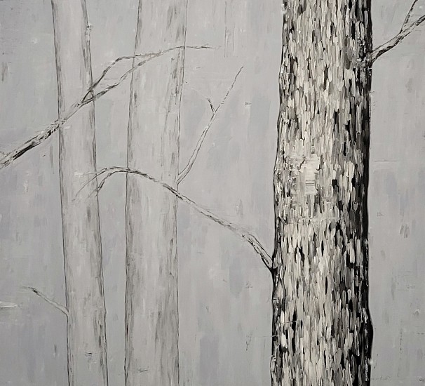 Douglas Leon Cartmel, Snowy Forest #9, 2023
Oil on linen, 40 x 44 in.
DCA-029