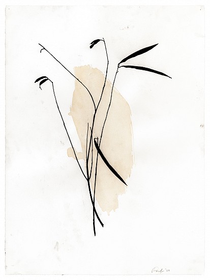 Randy Twaddle, Arrangement  #2, 2023
Charcoal and coffee on paper, 30 x 22 1/4 in.
RTW-045