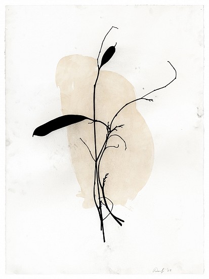 Randy Twaddle, Arrangement #3, 2023
Charcoal and coffee on paper, 30 x 22 1/4 in.
RTW-046