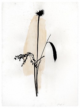 Work: Arrangement #4