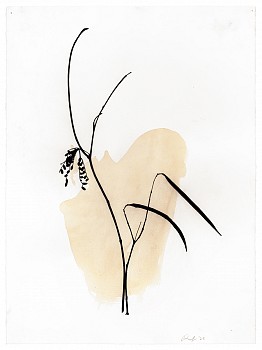 Work: Arrangement #5