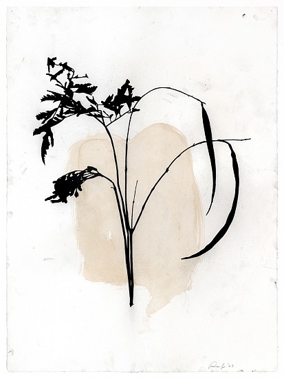 Randy Twaddle, Arrangement #6, 2023
Charcoal and coffee on paper, 30 x 22 1/4 in.
RTW-049