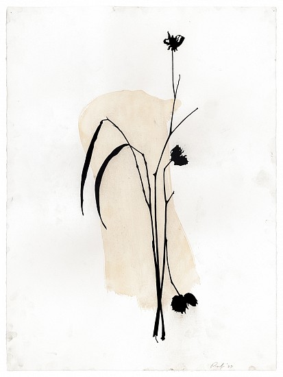 Randy Twaddle, Arrangement #9, 2023
Charcoal and coffee on paper, 30 x 22 1/4 in.
RTW-050