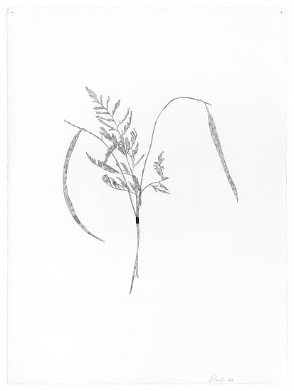 Randy Twaddle, Bouquet #2, 2023
Ink on paper, 30 x 22 1/4 in.
RTW-051